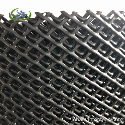 Plastic Mesh Net Plastic Mesh Wire For Beans Bed Manufactory